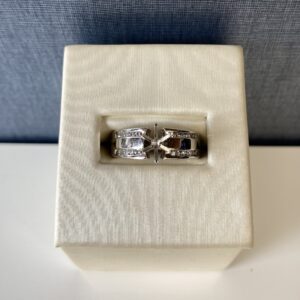 White Gold and Double Row Diamond Engagement Ring
