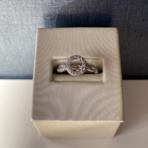 White Engagement Ring With Diamond Halo and Diamond Sides