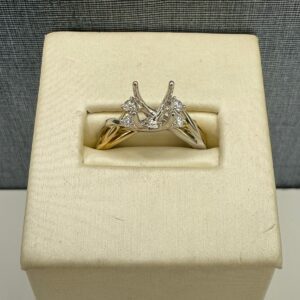 Two Tone Diamond Mounting