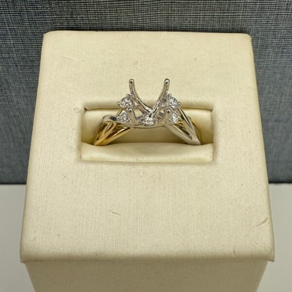 Two Tone Diamond Mounting