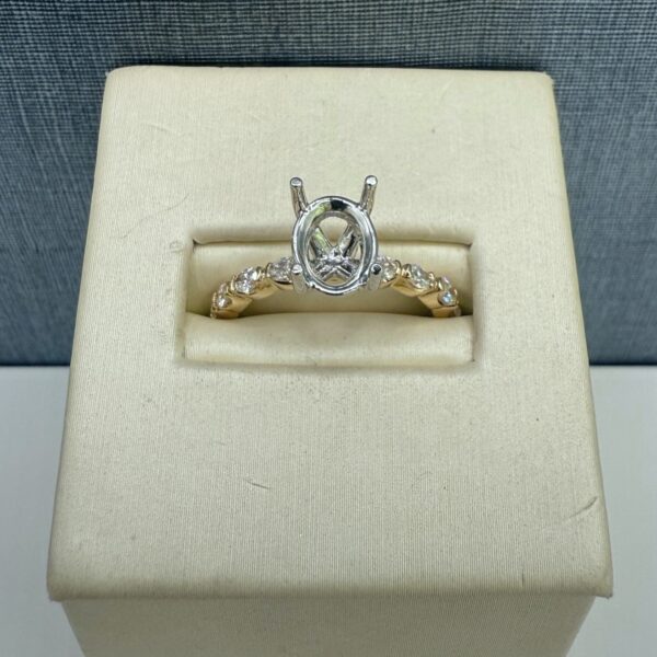 Two Tone Oval Mounting