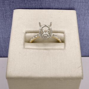 Two Tone Hidden Halo Mounting