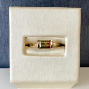 Watermelon Tourmaline Ring in Yellow Gold